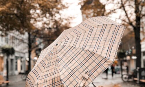 Paraplyets Mångsidighet: En Guide till Smati Paraplyer